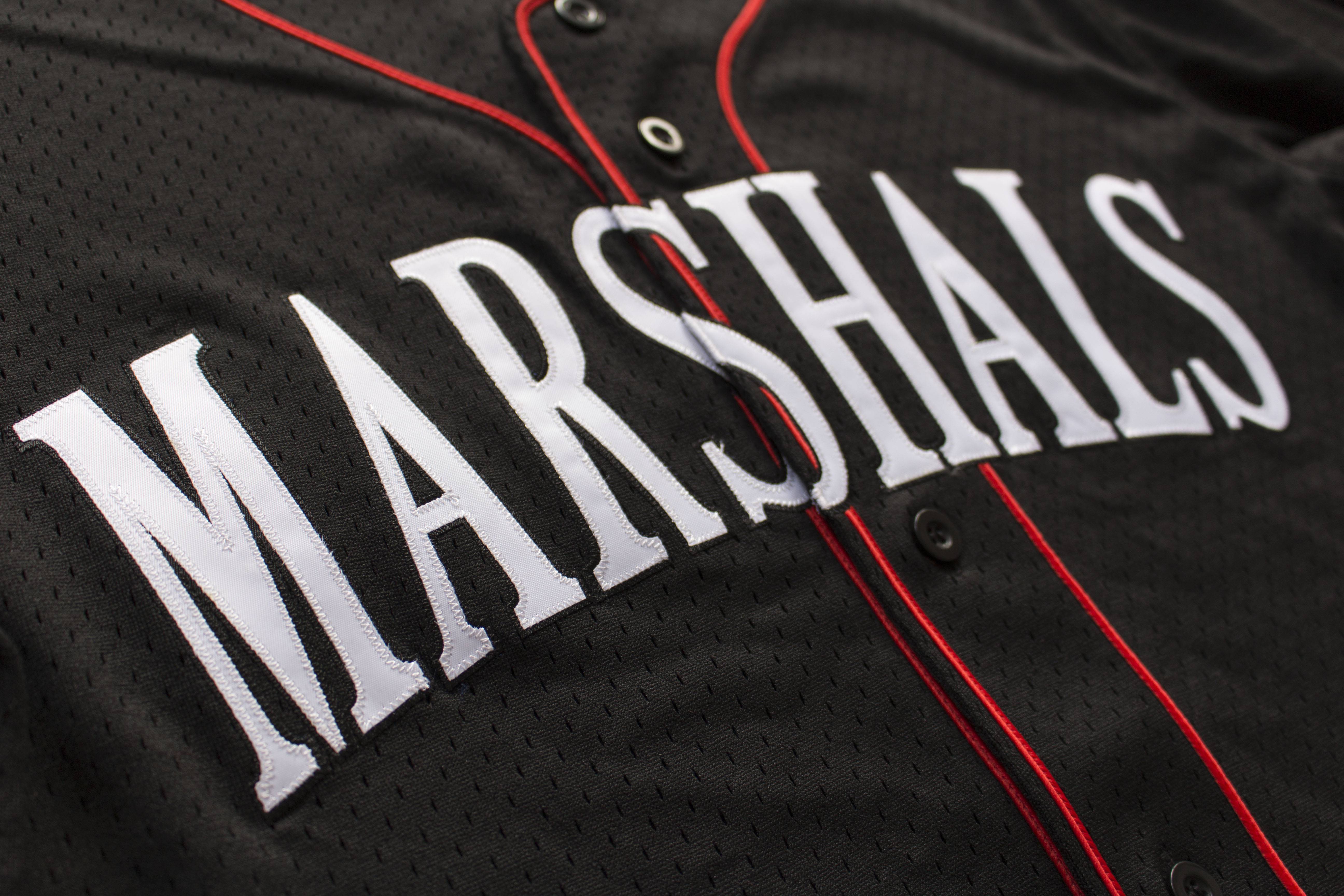 AMSTERDAM MARSHALS BASEBALL EXPERIENCE